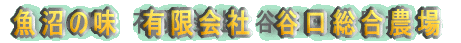 �����̖��@�L����Ё@�J�������_��